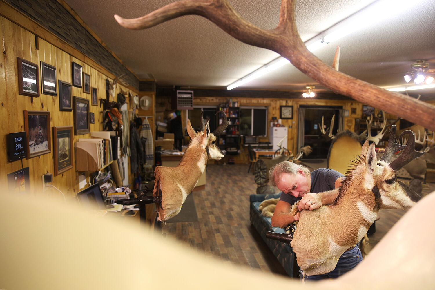 Tim Peterson is the owner of Hawk Creek Taxidermy